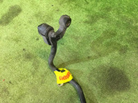 Barra estabilizadora traseira SUBARU LEGACY OEM 20450AC090 BG5 1996 EJ20H
