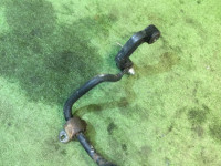 后防倾杆 SUBARU GRAND WAGON OEM 20450AC090 BG9 1998 EJ25DD