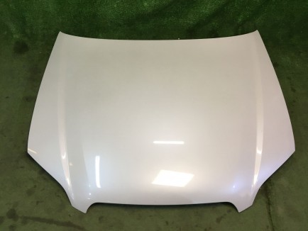 Capô 57229AG0009P SUBARU LEGACY