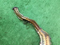 Catalytic converter SUBARU LEGACY OEM 44101AC000, 44111AC310 BG5 BD5 1997 EJ20DD