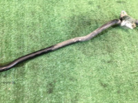 前防倾杆 21мм SUBARU FORESTER OEM 20401SA000 SG5 SG9 2003 EJ202