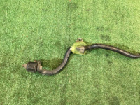 前防倾杆 20мм SUBARU LANCASTER OEM 20401AE000 BH9 2000 EJ254