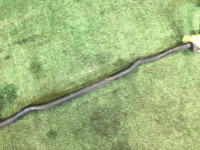 Front anti-roll bar 20мм SUBARU OUTBACK OEM 20401AG000 BP5 BL5 BLE BPE BPH BL9 BP9 2007 EJ253 AT