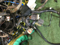 ชุดสายไฟ SUBARU LANCASTER OEM 81401AE160, 81200AE310, 81500AE630 BH9 1999 EJ254 AT