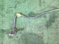 Стабилизатор задний D=15.9 SUBARU OUTBACK OEM 20451AG060 BPE BP9 2005 EZ30 AT