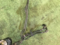 Tubos del enfriador de caja SUBARU LEGACY OEM 45522AE031 BEE BHE 2002 EZ30 AT