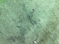 Rear brake lines SUBARU LEGACY OEM 26520AE000 BEE BHE BE5 BE9 BH5 BH9 2002 EZ30 AT