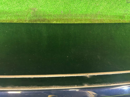 Portón del maletero SUBARU LEGACY OEM 57509AG0019P BL9 BL5 BLE 2008 BLUE C8P