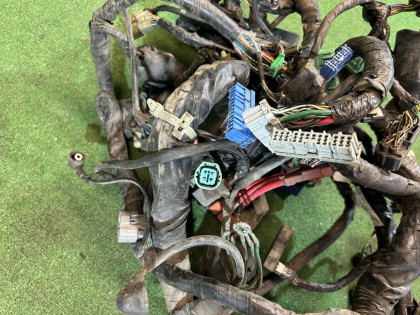 Ramal de cables электропроводка HONDA GOLD OEM 32100MCA751 2002