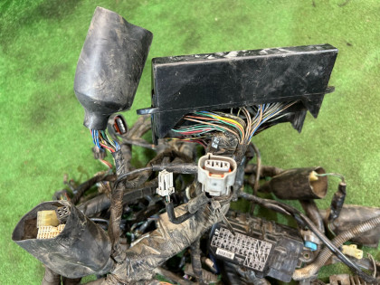 Ramal de cables электропроводка HONDA GOLD OEM 32100MCA751 2002