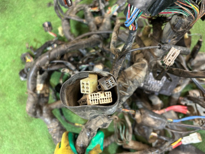 Ramal de cables электропроводка HONDA GOLD OEM 32100MCA751 2002