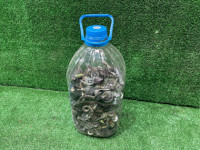 น็อตสกรู (ชุด 5 ลิตร) SUBARU LEGACY OEM 901120086 BE5 2000