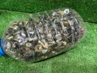 น็อตสกรู (ชุด 5 ลิตร) SUBARU LEGACY OEM 901120086 BE5 2000
