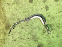 Power steering hoses SUBARU LEGACY OEM 34610AC090 BG9 1995 EJ25D