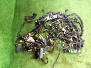 ชุดสายไฟ SUBARU LEGACY OEM 81502AC700, 81202AC521, 81406AC410 BD5 1996 EJ20H