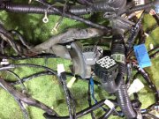 ชุดสายไฟ SUBARU LEGACY B4 OEM 81200AE170, 81400AE400, 81401AE160, 81500AE190, 81500AE630 BE9 2001 EJ254