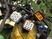 ชุดสายไฟ SUBARU LEGACY B4 OEM 81200AE730, 81401AE950, 81501AE491 BEE 2002 EZ30