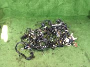 ชุดสายไฟ 81202AC520, 81801AC120, 81403AC840, 81502AC750 SUBARU LEGACY