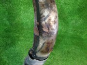 Выпускной коллектор SUBARU LEGACY OEM 44102AC220, 44102AC100 BH5 1999 EJ208