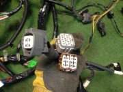ชุดสายไฟ SUBARU LEGACY OEM 81200AE590, 81401AE591, 81501AE081 BH5 2002 EJ206