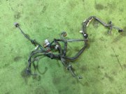 สายไฟเครื่องยนต์ 24020AC084, 24020AC085, 24020AC083 SUBARU LANCASTER