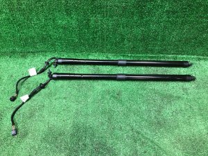 โช้คค้ำฝากระโปรงท้าย LR044161, LR104909, LR126173, LR159597 LAND ROVER RANGE ROVER SPORT