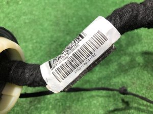 Mazo de cables de la puerta delantera derecha LAND ROVER RANGE ROVER SPORT OEM LR119326, KK62-14631-BBE 2019 PТ204