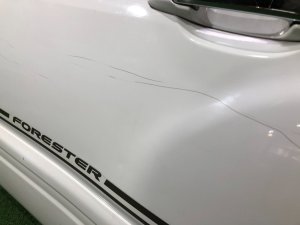 Puerta trasera izquierda SUBARU FORESTER OEM 61401FC013 SF9, SF5 1998 White 51E
