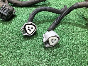 Conectores de los faros SUBARU LANCASTER OEM 84952AE020 BHE 2000